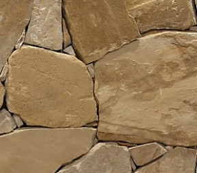 Mysterious appearance